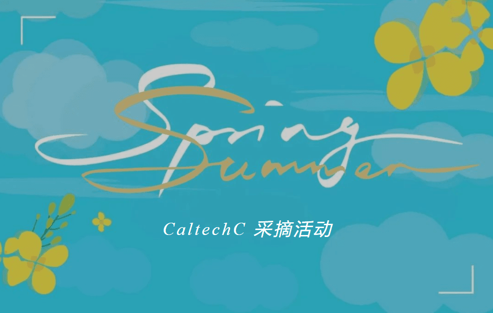 Blue background poster with stylized white and gold text "Spring Summer", smaller text "CaltechC 采摘活动", decorated with clouds and yellow flowers.