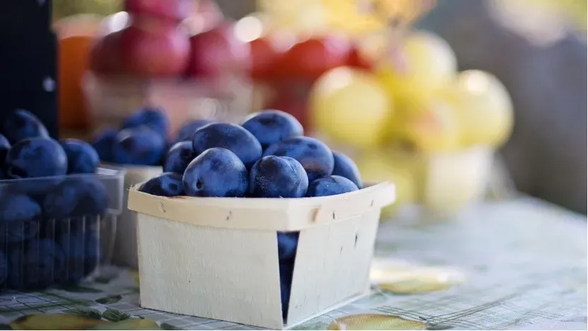 Close-up of dark purple plums in a wooden basket, with more plums and blurred colorful fruits in the background.