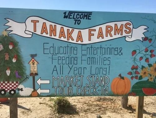 A blue wooden sign for Tanaka Farms, listing family activities, market stand, tour check-in, plus farm produce and Christmas tree illustrations.
