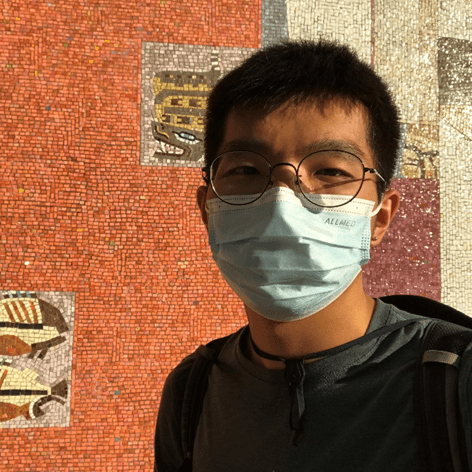 Young person wearing round glasses and a light blue face mask, standing against a vibrant mosaic wall with animal motifs.